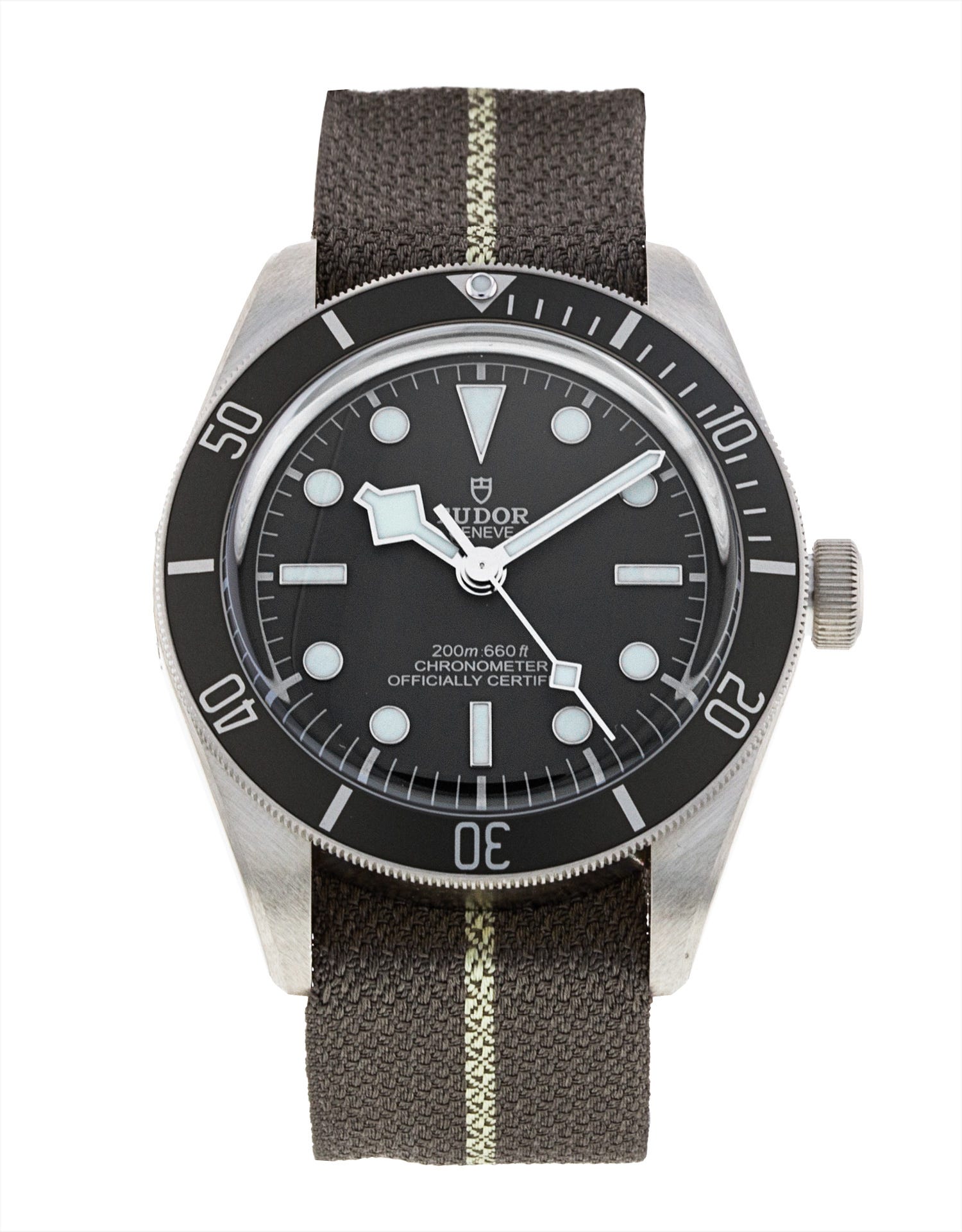 Tudor Black Bay 58 M79010SG-0002 213836