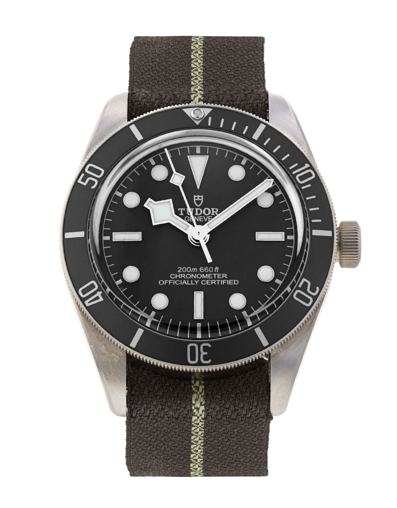 Tudor Black Bay 58 M79010SG-0002 231655
